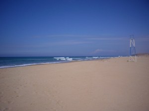 PLAYA PELIGROSA PLAYA PELIGROSA