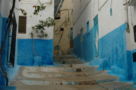 normal_Larache_2007[1]