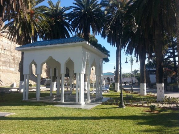 LARACHE - Jardín de las Hespérides - año 2013