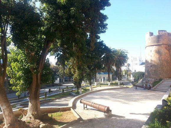 LARACHE - Jardín de las Hespérides - año 2013