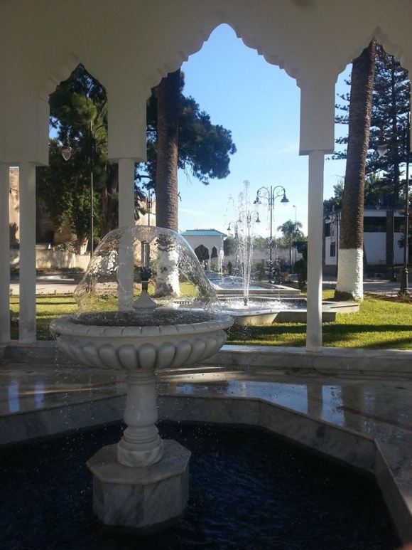 LARACHE - Jardín de las Hespérides - año 2013