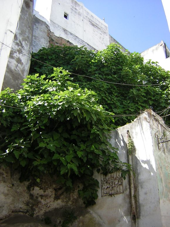 LARACHE - RESTOS DE LA MURALLA DE LA ALCAZABA