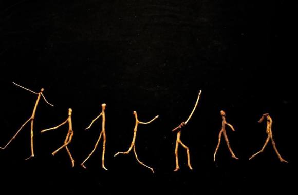 IN VINO VERITAS - E.GALLEGO