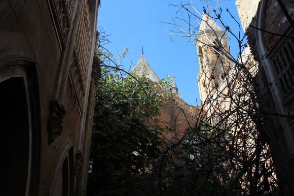 14711669_1122032081225420_1117436906373107197_o