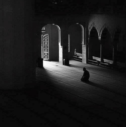 8696_10151436686632539_1021620189_n