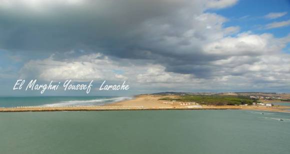 14011934_283869088653391_1776877629_n