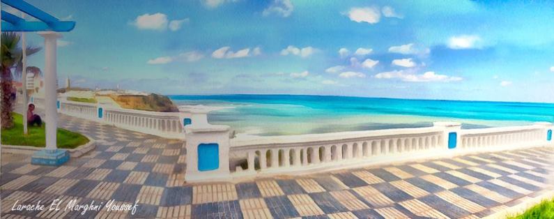 15281970_346146635758969_498576075_n