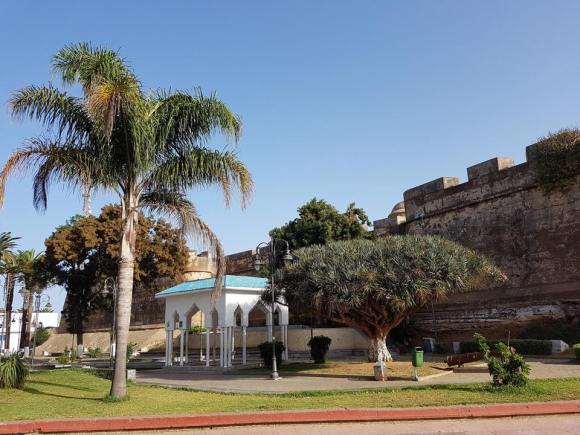 15621796_1203789389705047_1699515172203074065_n