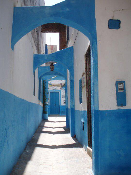 397415_255063677900658_1401581085_n