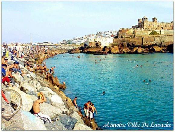 935922_607179295973137_230410545_n