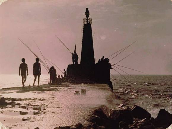 19437479_1397431920340792_3094294013250965332_n