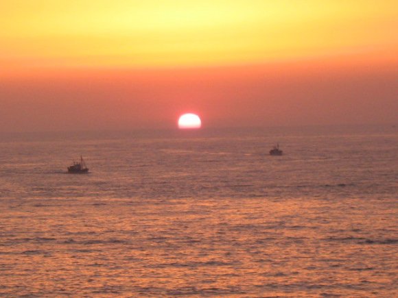 25450_388000890565_7828519_n