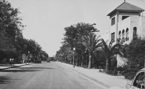 Avenida