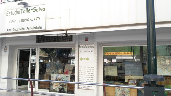 ESTUDIO TALLER SELVA