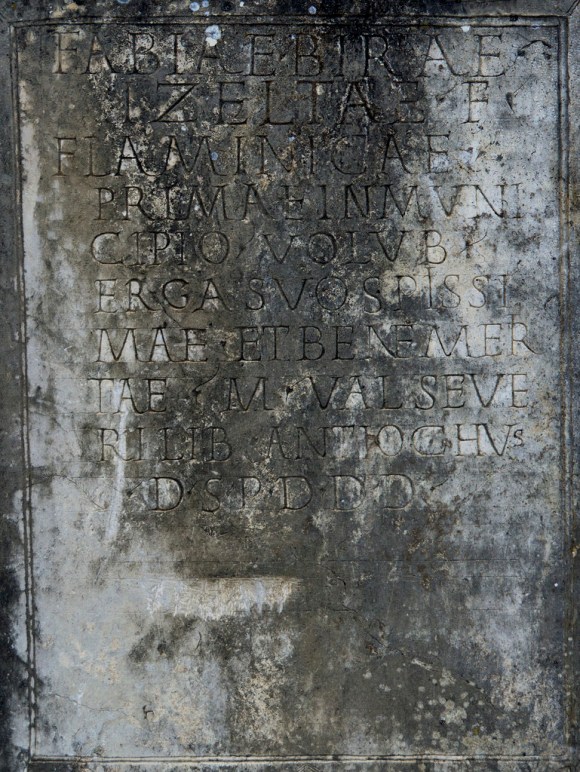 volubilis - inscripción dedicado a la falmínica fabia bira