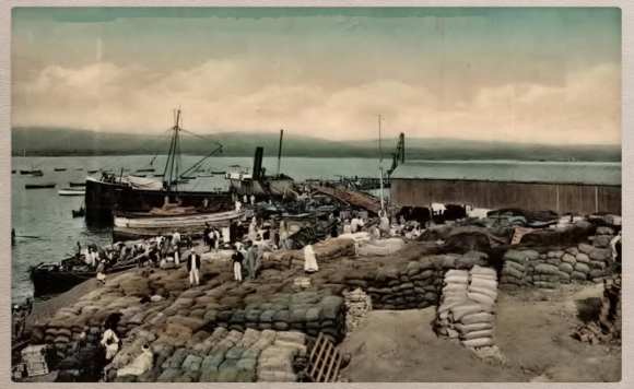 59465306_395050847747657_428085978872152064_o