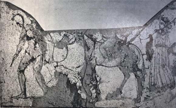 58443657_391881361397939_4636247415974789120_o (1)