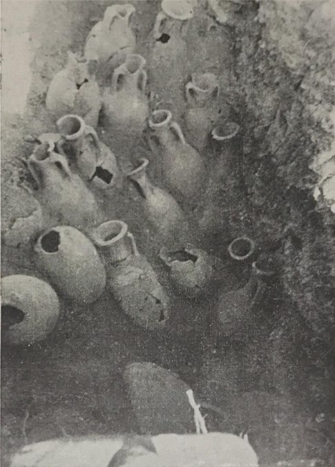 58594825_392276281358447_1565243287055368192_n