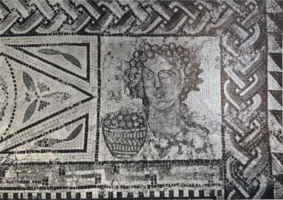 58639099_391879971398078_4521593337022513152_o