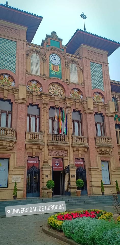 78206332_150019223013264_6388506957921124352_o