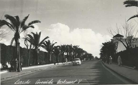 53881565_2129423240474986_4576807529614409728_n