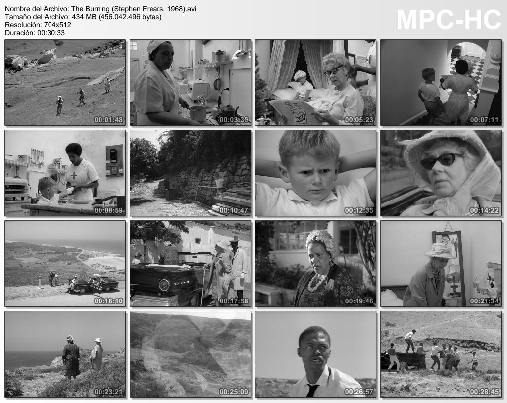 THE BURNING STEPHEHN FREARS